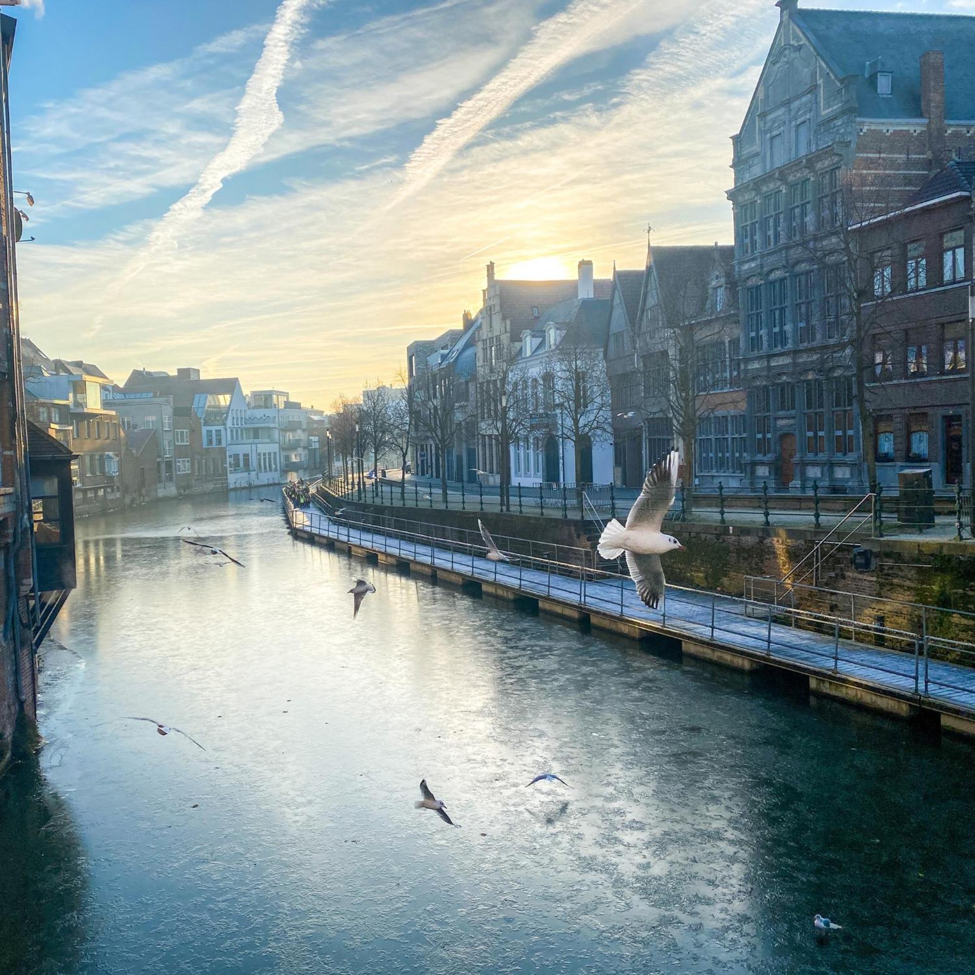 Huis Alna 2 Mechelen Kültér fotó